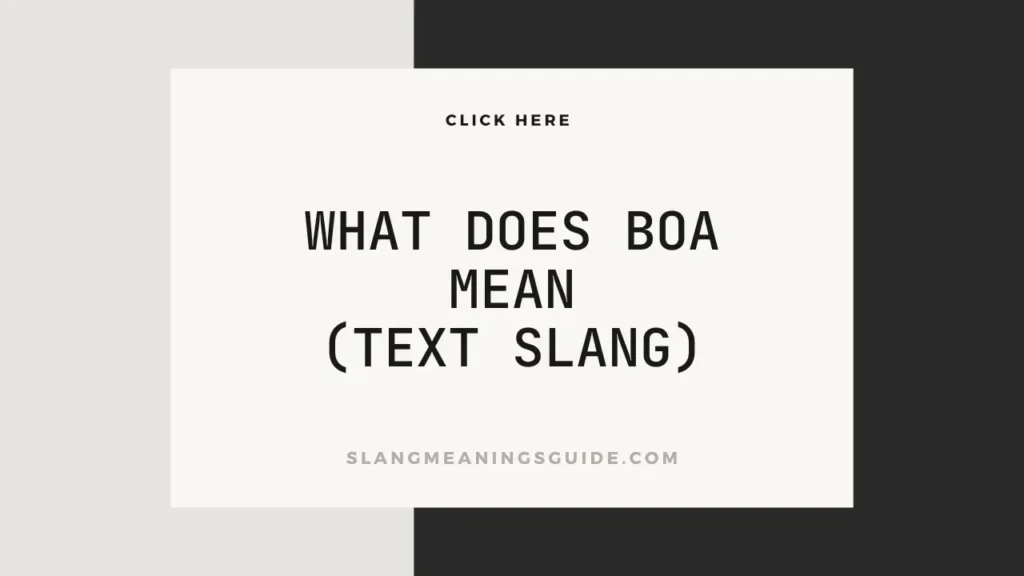 What Does Boa Mean (Text Slang)