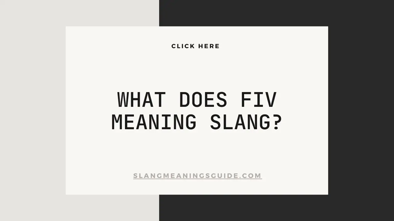 What Does FIV Meaning Slang?